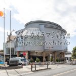 西東京市民文化祭2025・洋舞の部のお写真はこちらです